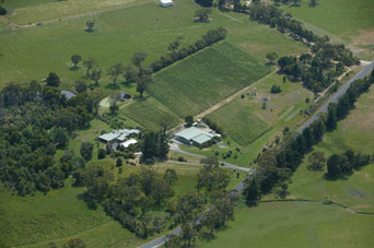 Lyre Bird Hill Winery And Guest House - Rent Accommodation 5