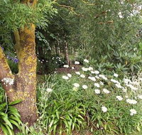 Springbank Bed and Breakfast - Rent Accommodation