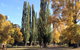 Omeo Caravan Park - thumb 0