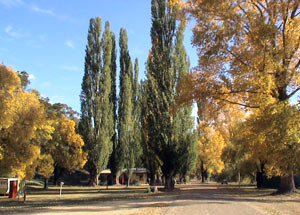 Omeo Caravan Park - Rent Accommodation 0