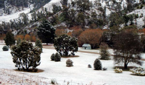 Omeo Caravan Park - Rent Accommodation 1
