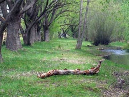 Omeo Caravan Park - Rent Accommodation 3