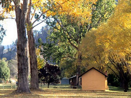 Omeo Caravan Park - Rent Accommodation 4