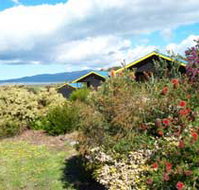 Black Cockatoo Cottages - Rent Accommodation