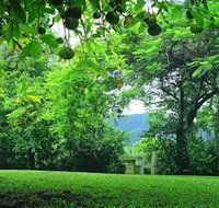 Misty Mountain Retreat - Rent Accommodation