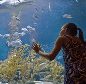 The Aquarium of Western Australia - Rent Accommodation