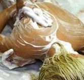 Exotique Massage - Rent Accommodation