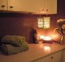 4 U 2 C Body Utopia - Rent Accommodation