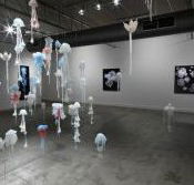 Nellie Castan Gallery - Rent Accommodation