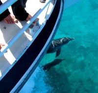 Pelican Charters - Rent Accommodation