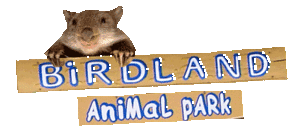 Birdland Animal Park - Rent Accommodation
