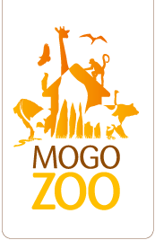 Mogo Zoo - Rent Accommodation