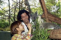 Taronga Zoo - Rent Accommodation 2