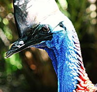 Alma Park Zoo - Rent Accommodation