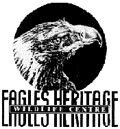 Eagles Heritage - Rent Accommodation