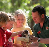 Cleland Wildlife Park - Rent Accommodation