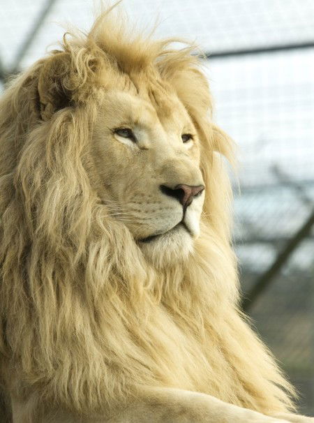 Zoo Doo Wildlife Park - Rent Accommodation 3