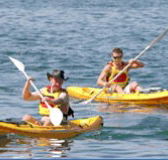 Manly Kayaks - Rent Accommodation
