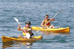 Manly Kayaks - Rent Accommodation 0