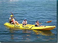 Manly Kayaks - Rent Accommodation 3