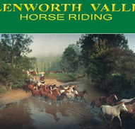 Glenworth Valley Horseriding - Rent Accommodation