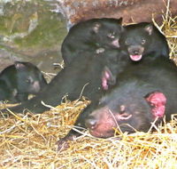 East Coast Natureworld - Rent Accommodation