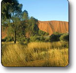 Uluru - Kata Tjuta National Park - Rent Accommodation