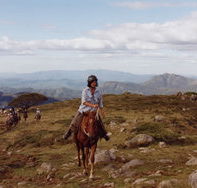 High Country Horses - Rent Accommodation