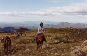 High Country Horses - Rent Accommodation 0