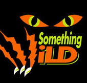 Something Wild - Rent Accommodation
