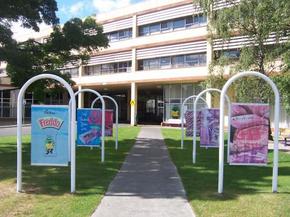 Cadbury Chocolate Factory Tour - Rent Accommodation 2