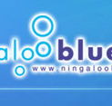 Ningaloo Blue Dive - Rent Accommodation
