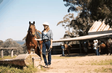 Watsons Trail Rides - Rent Accommodation