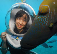 Sunlover Reef Cruises - Rent Accommodation