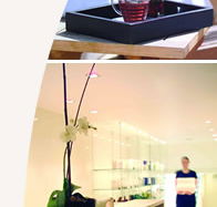 Lyall Hotel and Spa - Rent Accommodation