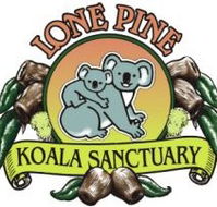 Lone Pine Koala Sanctuary - Rent Accommodation
