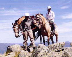 High Country Horses - Rent Accommodation 3