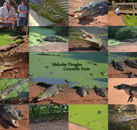 The Malcolm Douglas Crocodile Park - Rent Accommodation