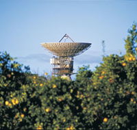 Big Dish - Rent Accommodation