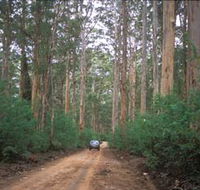 Boranup Drive - Rent Accommodation
