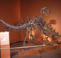 Denmark Dinosaur World - Rent Accommodation
