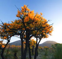 Cape Le Grand National Park - Rent Accommodation