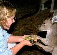 Discovery Bay's Walk on the Wild Side - Rent Accommodation