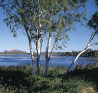 Celebrity Tree Park - Rent Accommodation