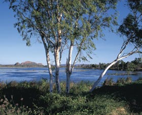 Celebrity Tree Park - Rent Accommodation 0