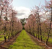 Raeburn Orchards - Rent Accommodation