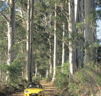 Scotsdale Tourist Drive - Rent Accommodation