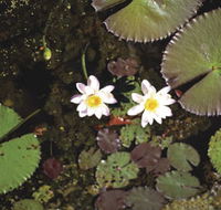 Parry Lagoons Nature Reserve - Rent Accommodation