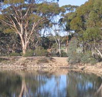 Merredin Railway Dam - Rent Accommodation