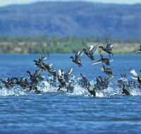Ord River - Rent Accommodation